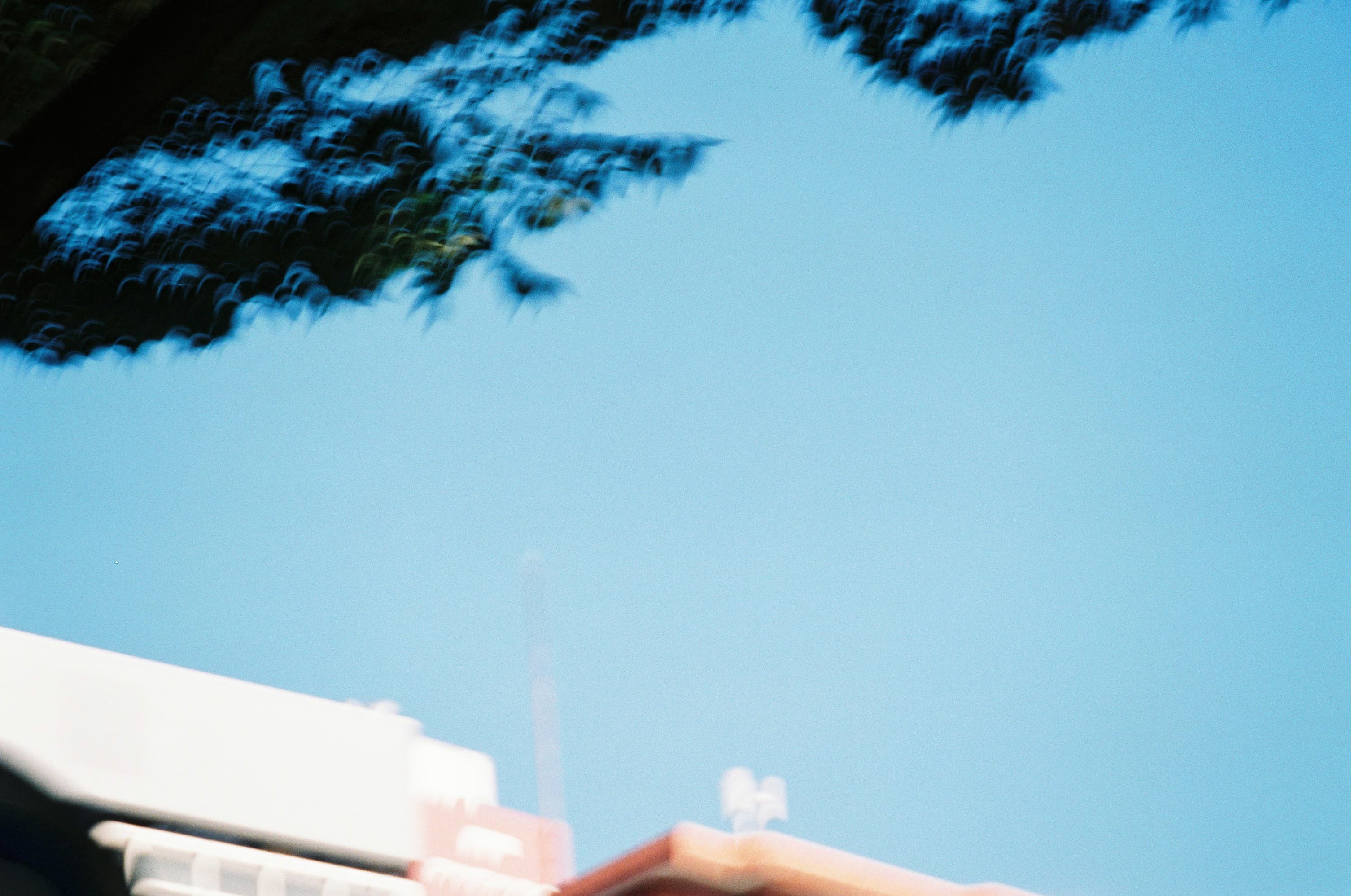 映画「バード　ここから羽ばたく」によせて。フィクションはリアリティの枠から、勇気を持ってはみ出さなければならない