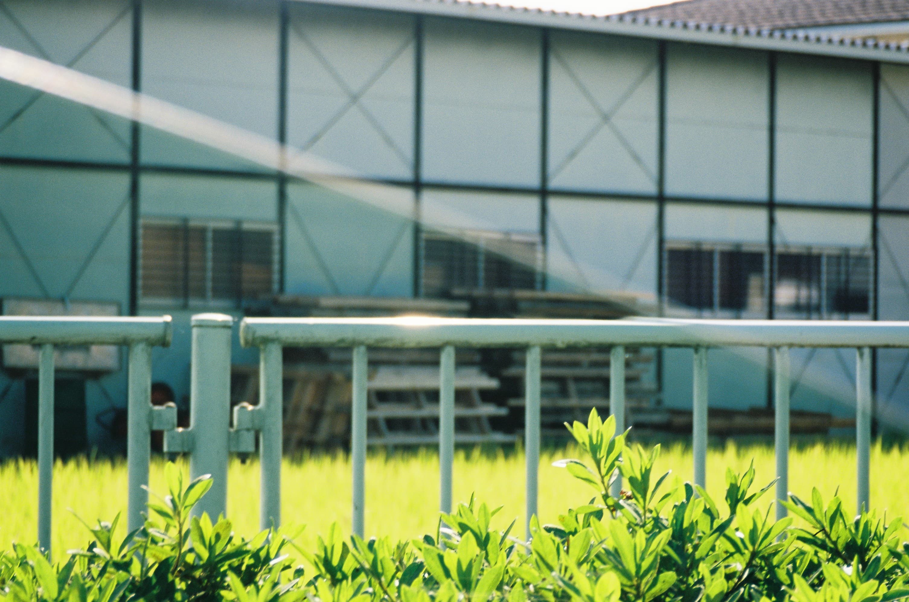 映画「見はらし世代」によせて。視線の先を見ているとは限らない